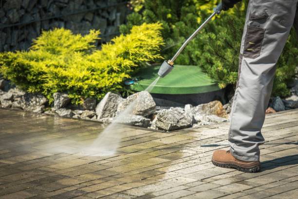 Best Fence Cleaning  in Dana, NC