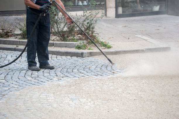 Best Winterizing Services  in Dana, NC